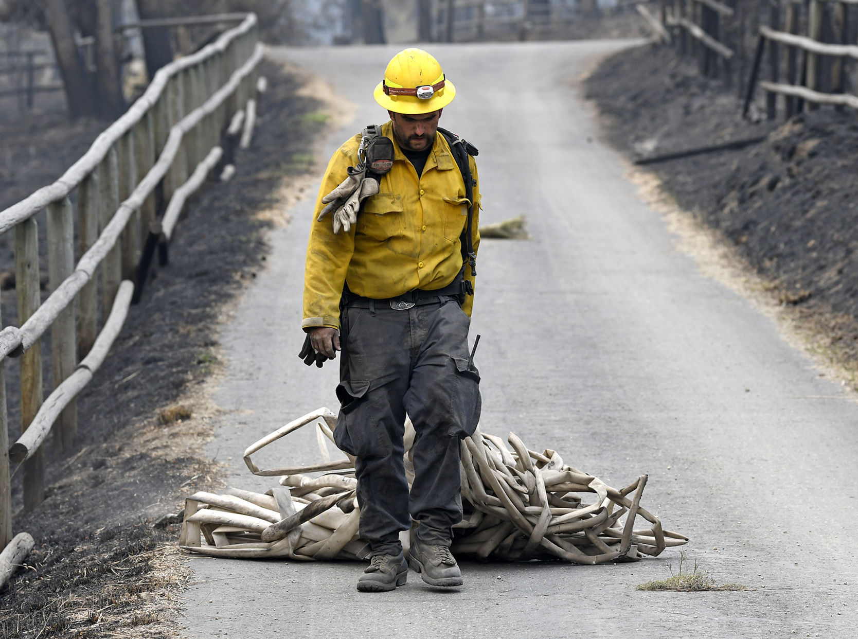 Lolo firefighter